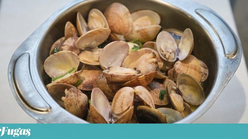 É preciso tirar aulas nocturnas para aprender a distinguir as amêijoas todas que há para aí