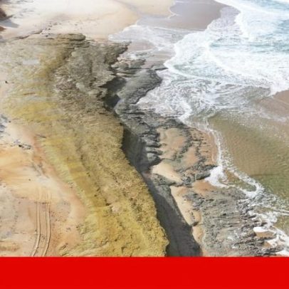 Fósseis encontrados a norte da praia da Galé, Grândola