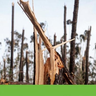 Especialistas dizem que o combate a incêndios devia ter começado já