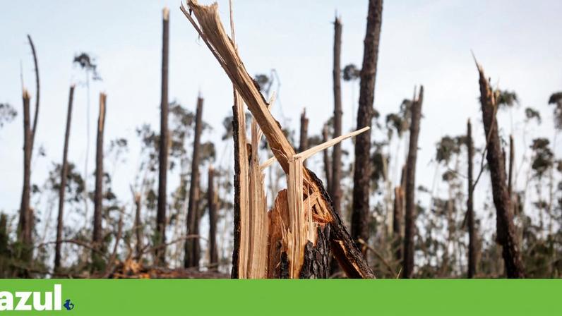 Danos provocados pela passagem da tempestade *Kristin*