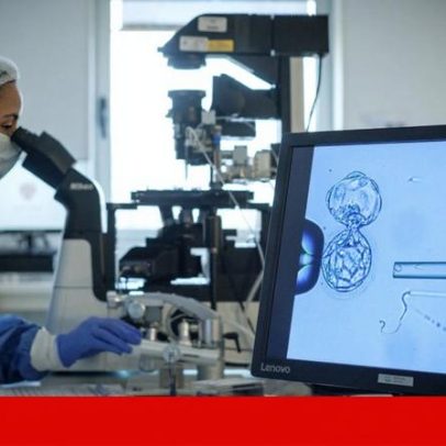 Procriação medicamente assistida atraiu utentes de 99 países em 2023