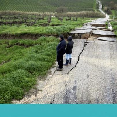 Alenquer regista 400 ha de vinhas afetadas e recebe apoios