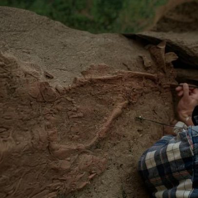UE atribui Selo de Património Europeu ao Abrigo do Lagar Velho, Leiria
