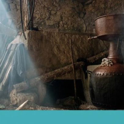 A vida simples de Annibale Genovese, bairradino para sempre