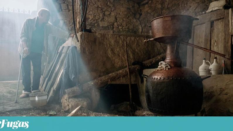 Ffoi assim que, amigos e familiares, nos despedimos de Annibale Genovese, e da sua passagem simples e bondosa pela Terra