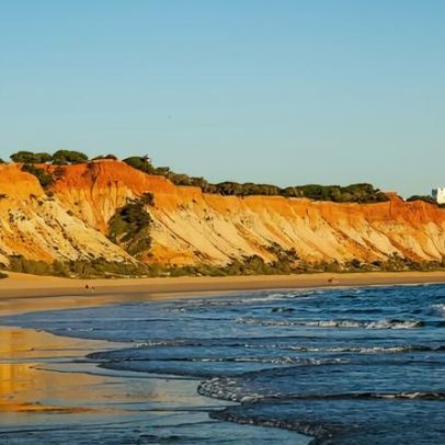 Entre viagens e camélias, um rodízio de possibilidades