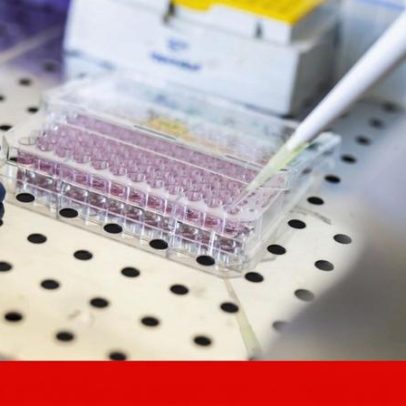 Região Norte cria plataforma para definir estratégias de inovação na saúde