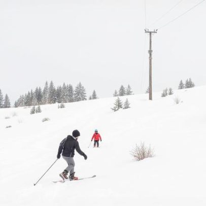 Eurodeputados aprovam pacote do vinho com verbas para vinha e destilação