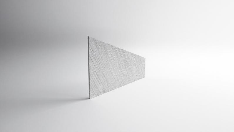 Milhões de árvores no chão representam risco; não é possível limpar tudo, afirma Salgueiro