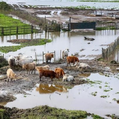 Câmara da Azambuja desconhecia barragem ilegal que obrigou evacuação de aldeias