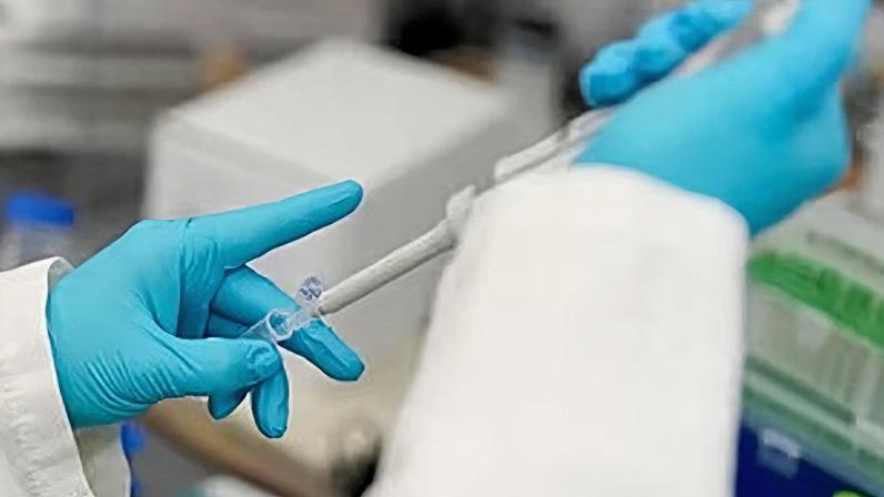 Estudante realiza teste no laboratório do professor Donald McDonnell, da Universidade Duke, em Durham, Carolina do Norte, a 4 de março de 2025