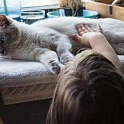 Cancro da Mama: informações sobre diagnóstico e tratamento