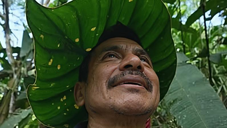 Ramon Pucha mostra como transformar uma folha num chapéu de sol na quinta da família, em Alto Ila, na região amazónica do Equador, terça-feira, 3 de fevereiro de 2026.