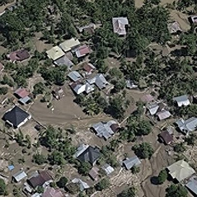 Biodiversidade em foco: avanços e desafios na conservação