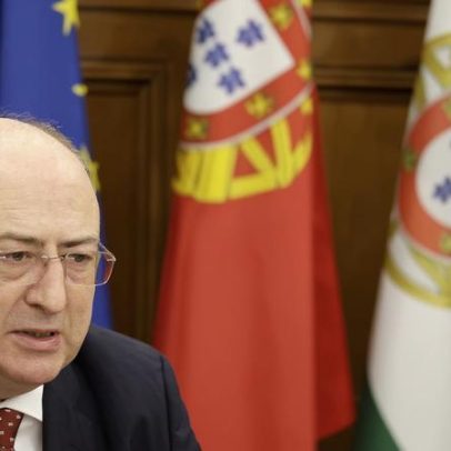 Ministro da Agricultura garante apoios à suinicultura