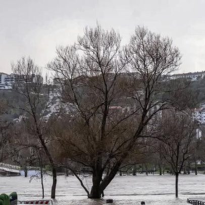 Canal de rega do Mondego fica pronto a 1 de maio para a campanha agrícola