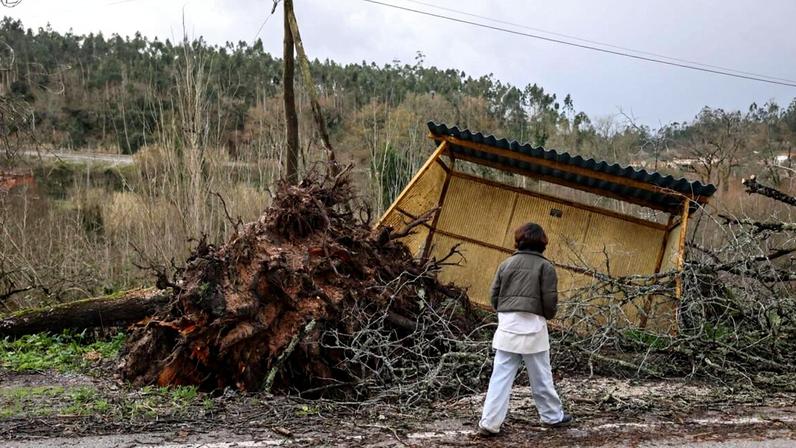 Foto: Miguel A. Lopes/Lusa