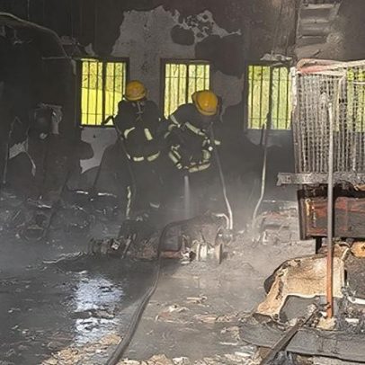 Incêndio em pavilhão destrói 12 carros de golfe em São Miguel