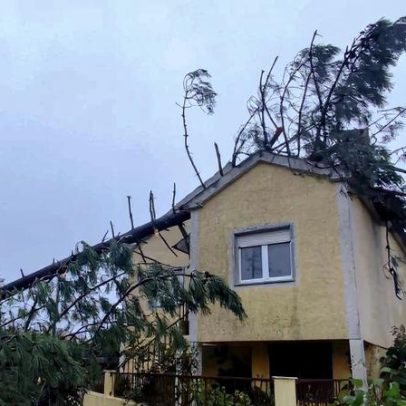 Bombeiros de Idanha-a-Nova ajudam nas limpezas em Cernache do Bonjardim