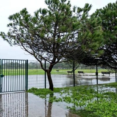 Cheias: Forças Armadas ativam resgate anfíbio nos rios Lis e Tejo