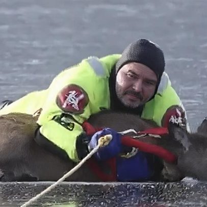 Bombeiro resgata veado preso num lago congelado em Washington