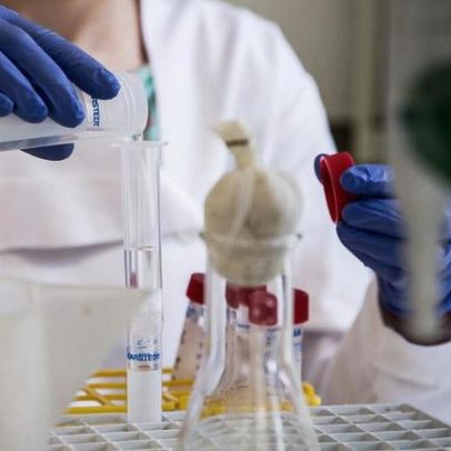 Prémio Bial distingue estudo sobre microbioma no tratamento do cancro