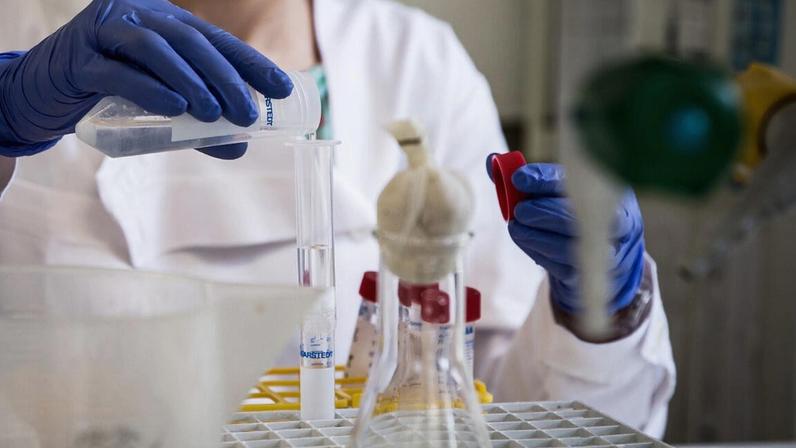 Estudo identificou espécies específicas de bactérias intestinais consistentemente associadas a uma resposta mais favorável ao tratamento