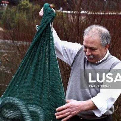 Lampreia aprecia água da chuva, mas condições adversas afetam pescadores