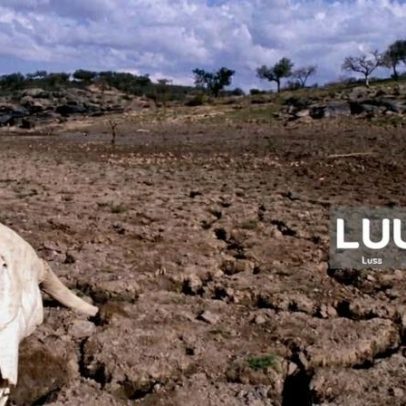 Mais de dois milhões enfrentam fome no Quénia devido à seca