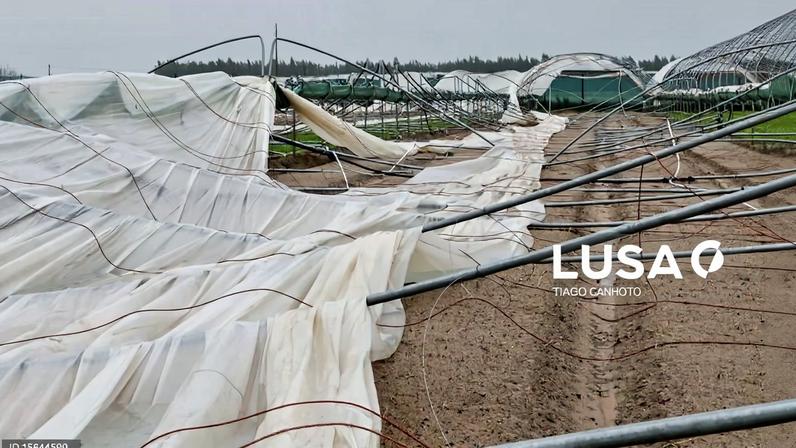 Mau tempo: Produtores de Odemira com prejuízo de 10 ME pedem acesso a apoios