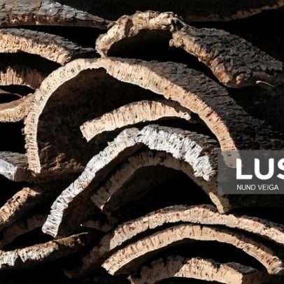 Lucro da Corticeira Amorim cai 20,3% para 55,6 milhões de euros em 2025