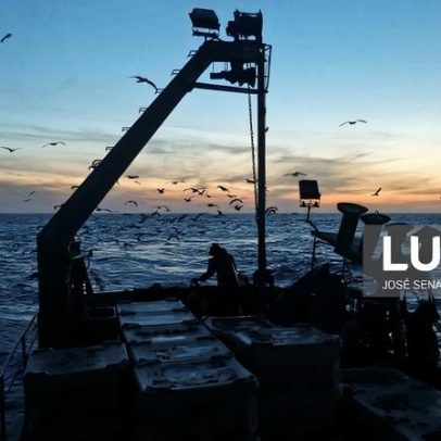 Governo concede apoio extraordinário de 3,5 M€ ao setor da pesca