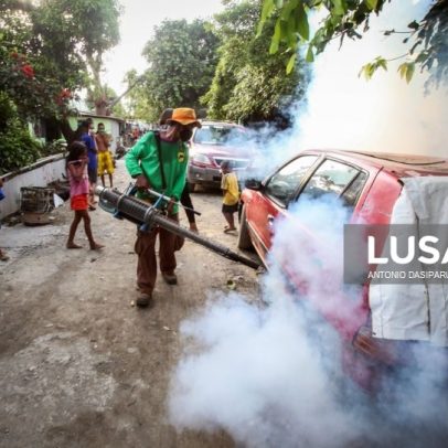 Dengue em Timor-Leste deixa sete mortos