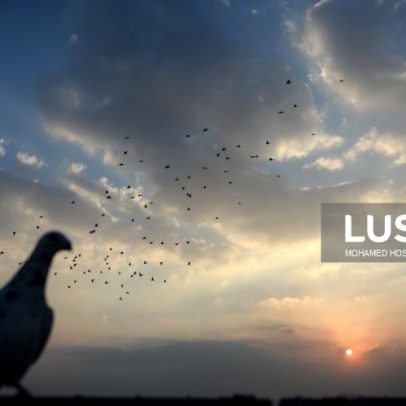 Departamento liderado pela filha de Putin planeia pombos-espiões