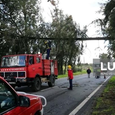 Homem morre em carro submerso em linha de água em Serpa
