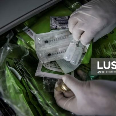 Quase 39 mil em tratamento para dependência de álcool e drogas em 2024