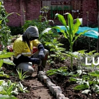 Angola regista aumento progressivo da produção agrícola em 2025, diz ministro