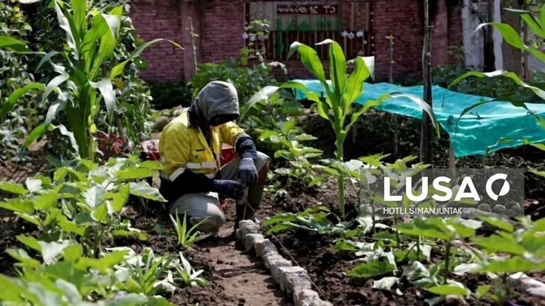 Angola registou em 2025 aumento progressivo da produção agrícola - ministro