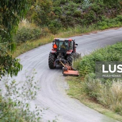 Governo propõe que reclusos limpem matas para prevenir incêndios