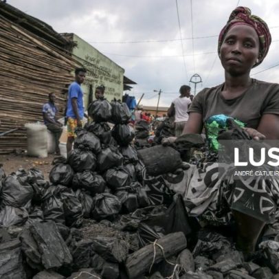 Moçambique apreende carvão vegetal por exploração ilegal de florestas