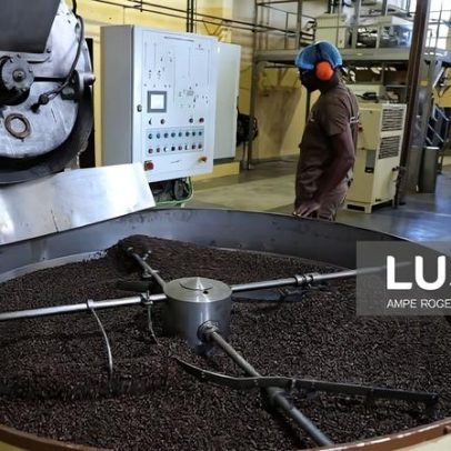 Angola gera 10,2 milhões de euros com café em 2025, um terço para Portugal