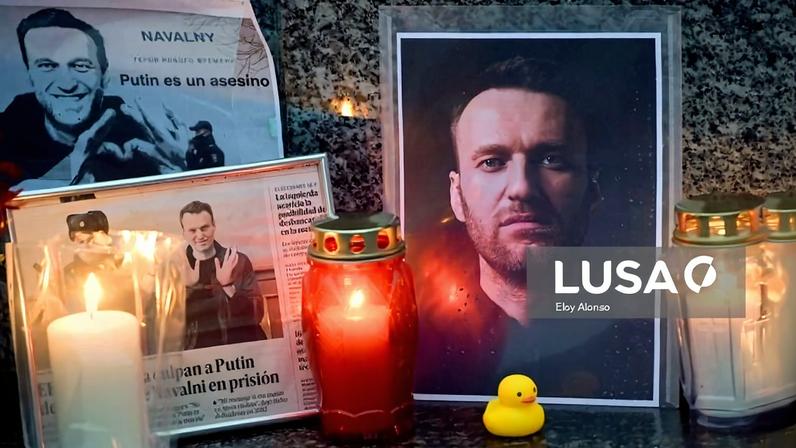 Navalny envenenado com toxina mortal encontrada em sapos-dardo sul-americanos