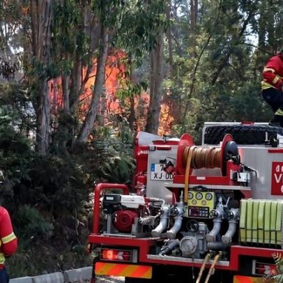 Proteção Civil: mais de 40 operacionais e helicóptero combatem fogo na Madeira