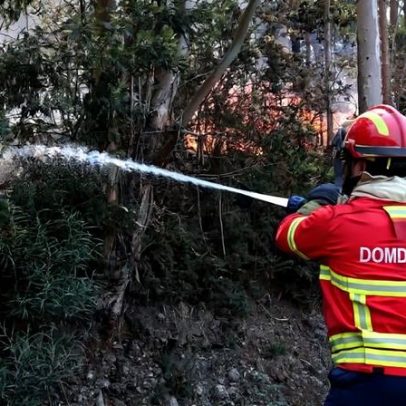 Incêndio rural no norte da Madeira entra em fase de rescaldo