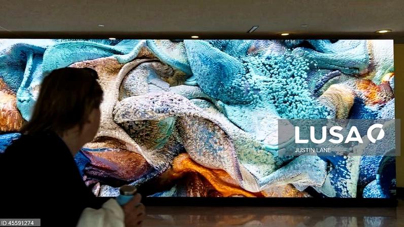 Quase 90% dos jovens portugueses usam inteligência artificial generativa