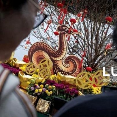 Macau confirma que o correio para Portugal voltou ao normal