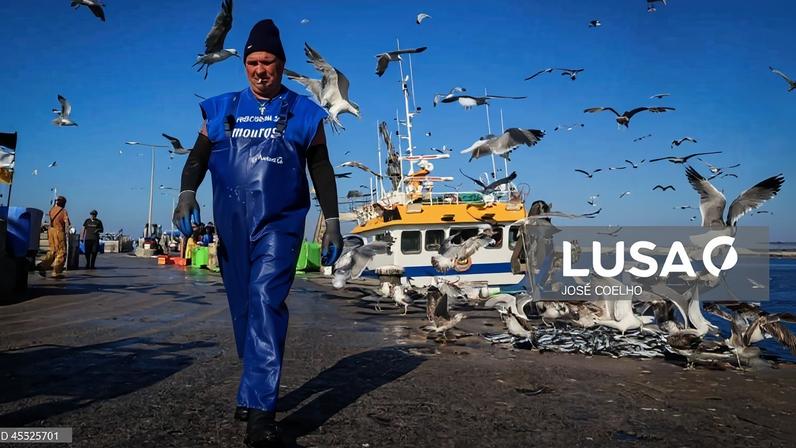Mau tempo: Pescadores falam em “impacto recorde” com barcos parados desde dezembro