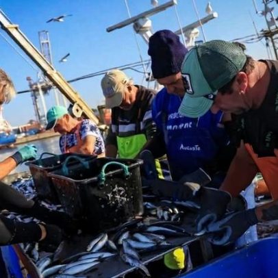 Pescadores recebem fundo de compensação; Governo estuda apoio à aquacultura