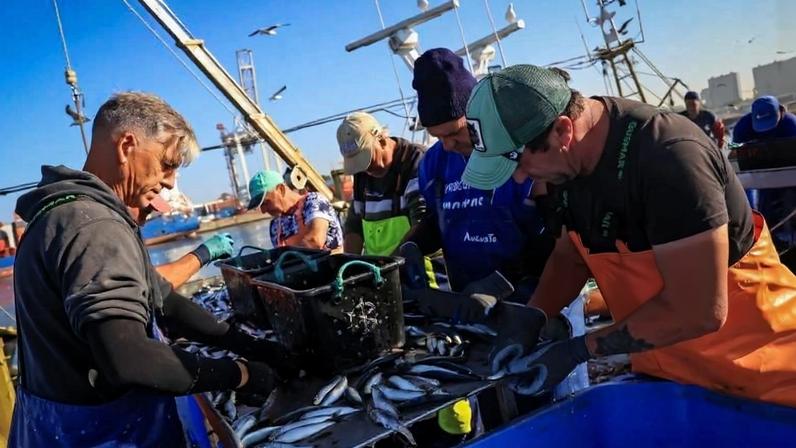 Pescadores têm fundo de compensação e Governo estuda novo apoio para aquacultura