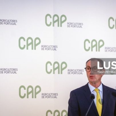 Apoios positivos, mas implementação tem de ser rápida